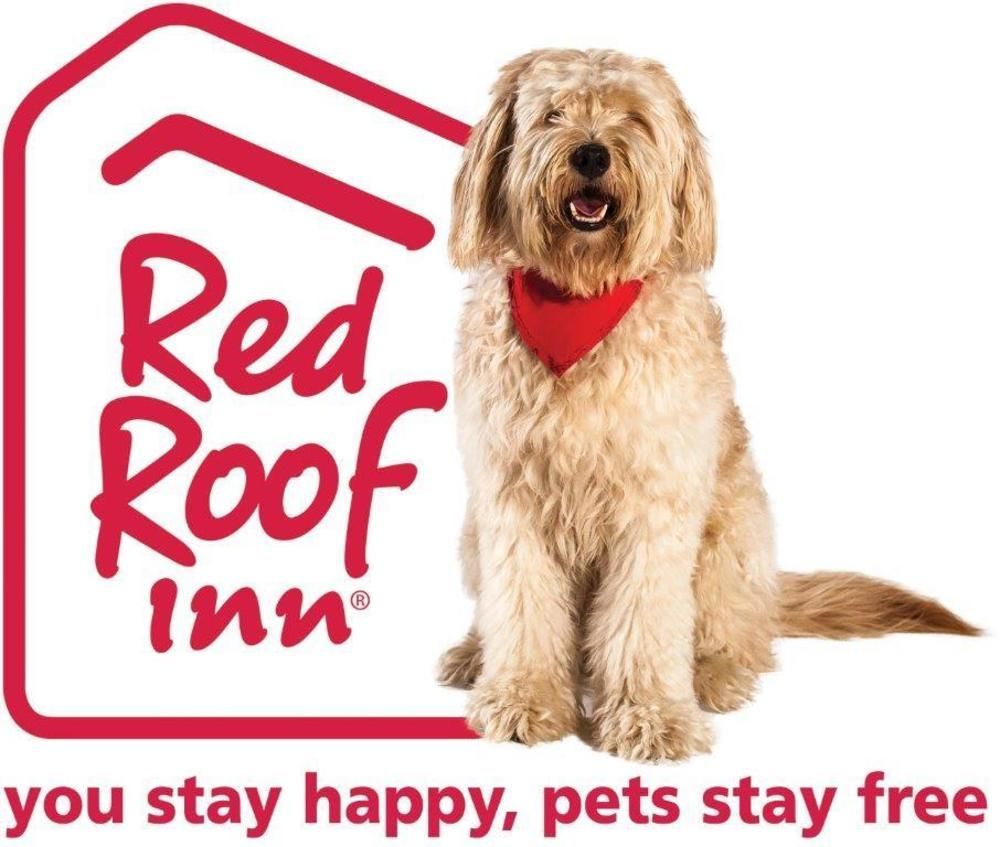Red Roof Inn Plus+ San Antonio Downtown - Riverwalk Exterior foto